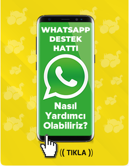 LPG OTOGAZ MONTAJ Dönüşüm Fiyatları Whatsapp destek hattı